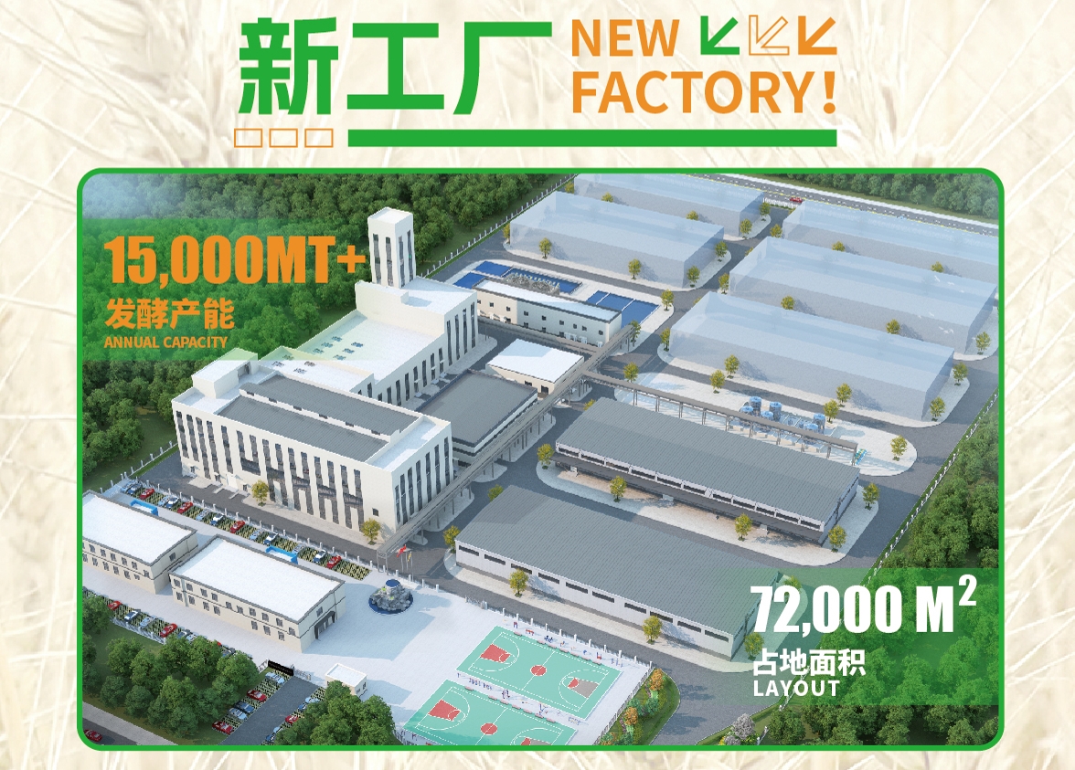 新廠面積.png